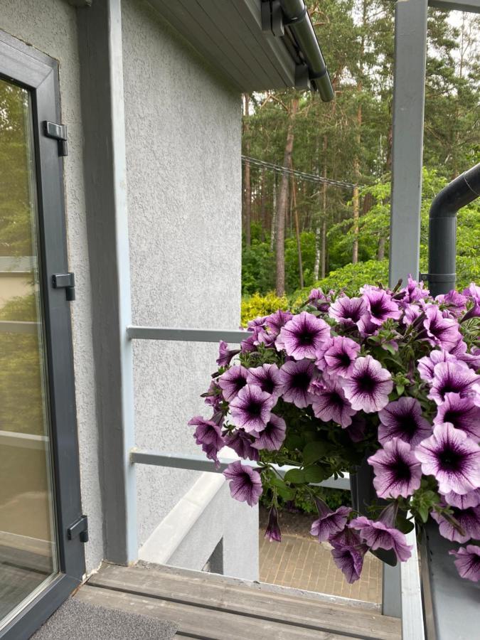 9 Mezmalas Iela Jūrkalne Extérieur photo